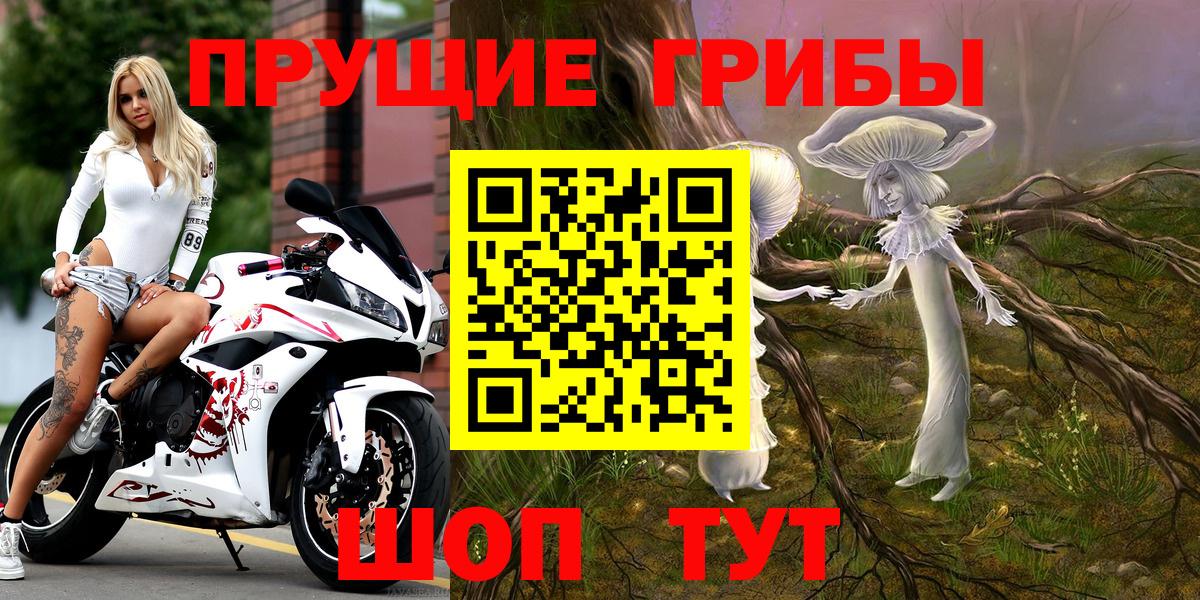 Домодедово  Галлюциногенные грибы MAGIC MUSHROOMS  Вход с VPN  Псилоцибиновые грибы Psilocybe 